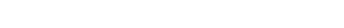 ICE-Cube Emulation RAM